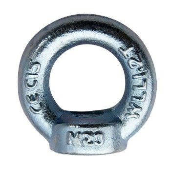 100% Inspection Before Shipment OEM Forged Galvanized Steel Lifting Eye Nuts