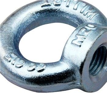 100% Inspection Before Shipment OEM Forged Galvanized Steel Lifting Eye Nuts
