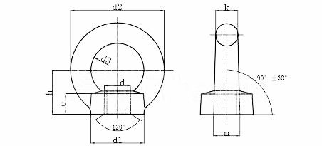 100% Inspection Before Shipment OEM Forged Galvanized Steel Lifting Eye Nuts