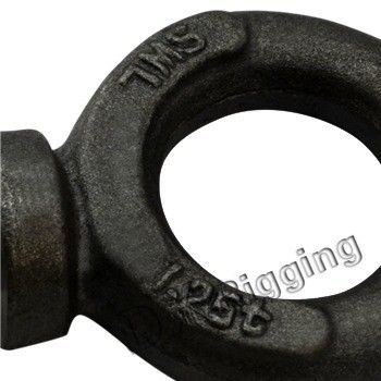 Precision Casting Technology Lifting Eye Bolts BS 4278 With CE Certification