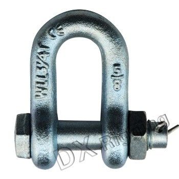 Stainless Steel Lifting Screw Pin Anchor Shackle For Imperial Measurement System