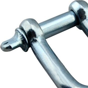 Customised European Type Large Dee Shackles For Marine Hardware